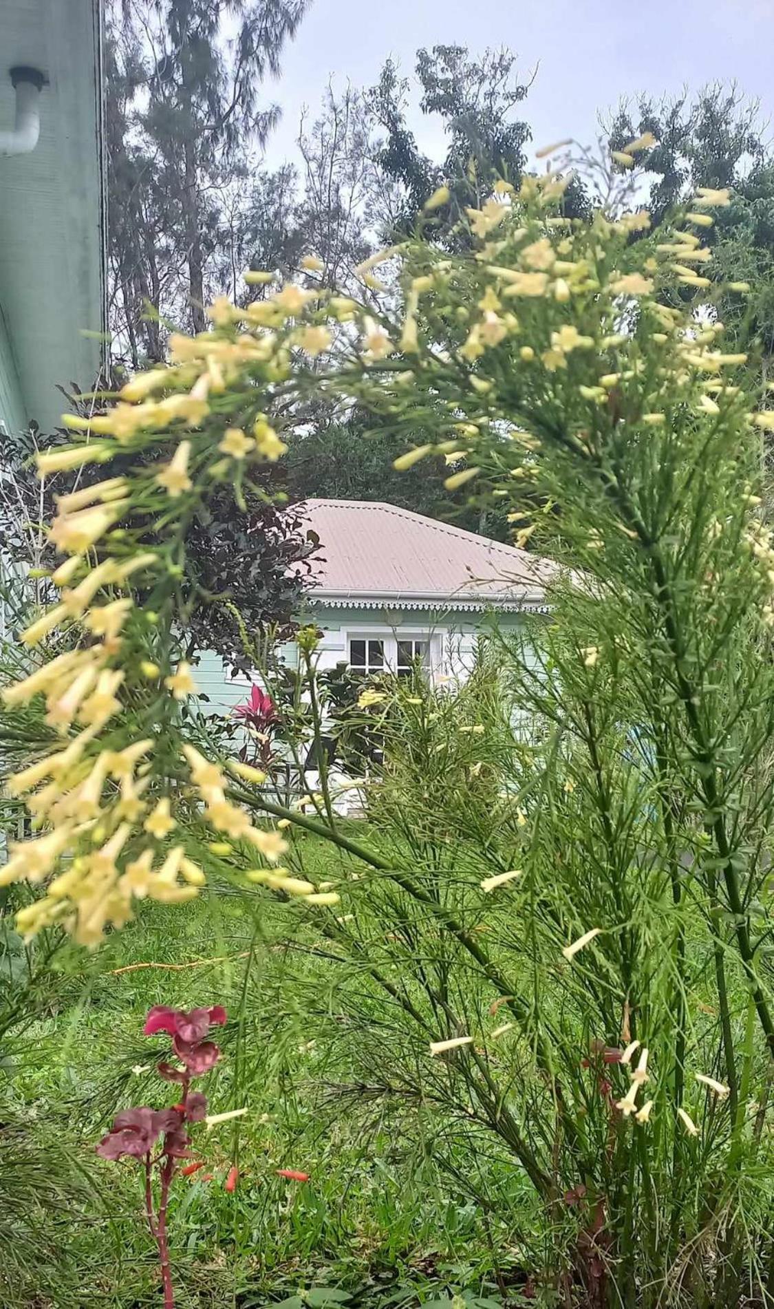Le Four A Pain Bed & Breakfast Saint-Philippe Exterior foto