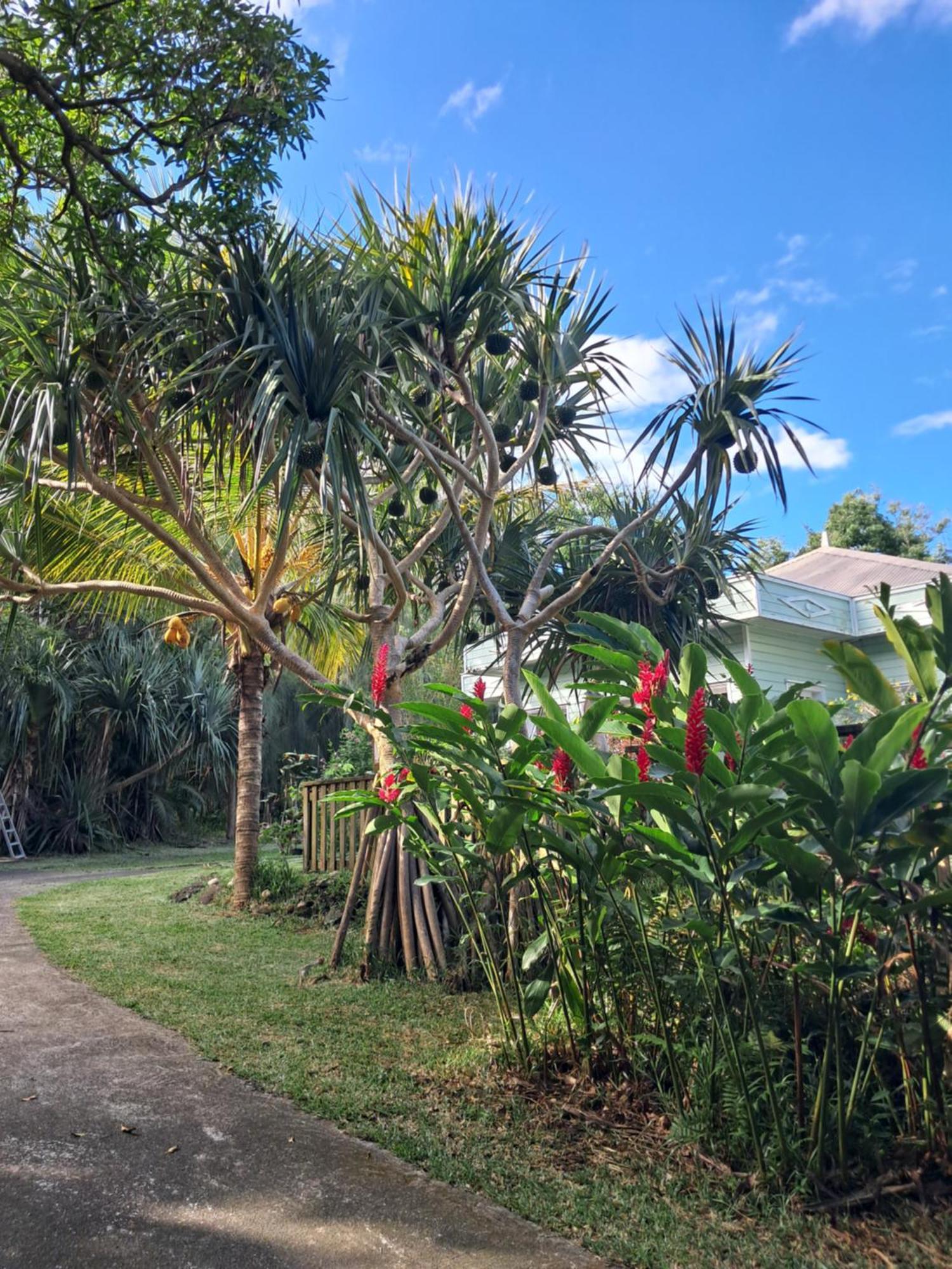 Le Four A Pain Bed & Breakfast Saint-Philippe Exterior foto